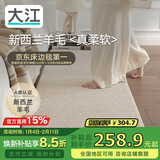 大江羊毛床边地毯卧室2025新款轻奢高级感衣帽间床前地毯60x160cm