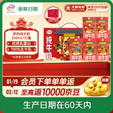 伊利【新鲜日期】纯牛奶250ml*21盒 年货送礼 财神年货礼盒装
