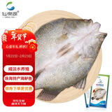 仙泉湖三去尖吻海鲈鱼1斤单条冷冻净膛金目鲈肉厚 海鲜水产生鲜食材年货