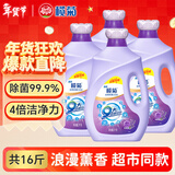 榄菊康涤全效洗护洗衣液8kg瓶装（2kg*4瓶）薰衣草香除菌除螨