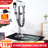 杰森（LEDONG）甩脂机站立式全身抖抖机律动机 懒人瘦身运动健身器材JS306 标配：1条按摩带/20档速度