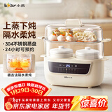 小熊（Bear）电炖锅 电炖盅 炖汤盅电炖锅 煲汤锅炖汤锅 隔水炖 婴儿煮粥锅熬粥燕窝炖盅小型1-2人DDZ-H10H6 1L