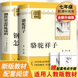 钢铁是怎样练成的 骆驼祥子（全2册）升级版 适用新版人教教材配套阅读 名师推荐考点精炼 初中七年级下册必读课外阅读书经典文学名著指定读物 无障碍阅读青少年文学