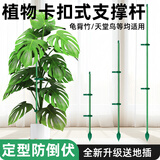 CPAI植物支撑杆花架固定器园艺扶持架花卉防倒伏花杆爬藤神器兰花支架 高60cm【玻纤杆10根】送20个卡扣