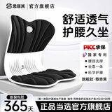 思菲其护腰坐垫靠垫护腰久坐神器人体工学椅支撑腰部坐靠背一体座椅垫 旗舰款-星耀黑【160斤以内】 超强支撑-舒适护腰