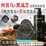 DR.DT何首乌黑灵芝五黑中草药洗发皂120g白发润养+黑发洗发水500ml