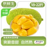 京鲜生海南老树菠萝蜜 18-22斤 净重18斤+  生鲜水果 源头直发