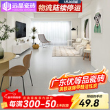 远晶800x800天鹅绒瓷砖奶油风柔光客厅地板砖餐厅阳台北欧广东卧室 浅灰-800RG008-附录G 3C认证 800x800mm