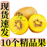 淳果一木 黄心猕猴桃 黄金奇异果金果猕猴桃四川 新鲜水果 生鲜 水果 10个单果70-100克+