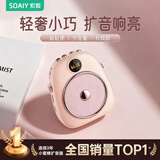 索爱（soaiy）S655小蜜蜂扩音器教师专用防啸叫10W大功率蓝牙音箱音响TF卡喇叭麦克风户外便携式导游导购教学 粉