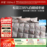 水星家纺羽绒被95%白鹅绒被子冬季加厚冬被芯双人羽绒被220cm×240cm1200g