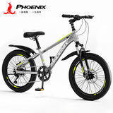 凤凰（Phoenix）儿童山地自行车6-15-18岁青少年成人男女碟刹减震变速24寸灰绿色