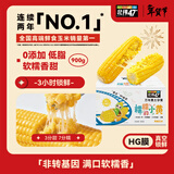 北纬47度黄糯小玉米1.8斤(150g*6) 东北黄糯玉米段儿童玉米真空包装低脂 