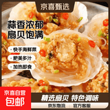 蒜蓉粉丝扇贝半成品生鲜烧烤整箱批发清蒸即食海鲜过节送礼新鲜 净重300g*3袋蒜蓉粉丝扇贝18枚