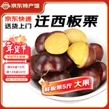 迁西鲜板栗2025年新生板栗大颗粒特选栗子新鲜例子甜栗子河北唐山特产 迁西老树净重 5斤 大粒