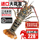 尝鲜生 进口超大花龙虾鲜活冷冻大海虾青龙虾中秋送礼海鲜礼盒 精选大花龙（净重）1.2-1.6斤/只