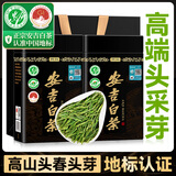 贡苑头采芽安吉白茶特级250g 2025新茶明前绿茶年货茶叶礼盒装送人