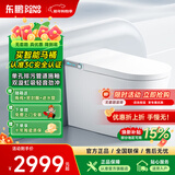 东鹏（DONGPENG）享净Pro智能马桶全自动一体语音内置泡沫盾无水压限制智能坐便器 【语音内置泡沫盾】享净Pro 3.0 坑距是290-390选300/305mm坑距