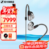 森海塞尔（Sennheiser）IE900/IE600/IE300旗舰级HIFI高保真超宽单动圈单元可拆卸MMCX挂耳式耳机 高保真发烧有线耳机耳塞 IE900 【旗舰HIFI高保真】