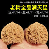 山中玉【一物六图】文玩核桃狮子头手把件青皮老树王勇盘玩新年礼物 新44mm老树全品满天星-32658