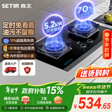 森太（SETIR）家用大火力嵌入式台式两用灶具家用双灶 免改孔可调节底盘高热效定时灶 JZT-TD96A天然气 以旧换新