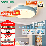 雷士（NVC）LED照明吸顶灯儿童氛围卧室灯创意可爱卡通简约-龙猫蓝色