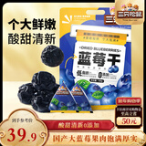 三只松鼠每日蓝莓干500g 蜜饯果干酸甜休闲零食下午茶孕妇儿童健康零食