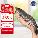 京鲜港巨型黑虎虾 净重1.6斤/盒(特大号) 9-12只/盒家庭聚餐送礼年货