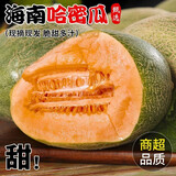 春福乐哈密瓜【源头直发】海南哈密瓜西州蜜25号哈密瓜甜瓜蜜瓜当季水果 5斤精选装【香甜多汁】净重4.5斤