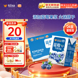 风行牛奶蓝莓风味牛奶饮品 200ml*24盒 风味牛奶量贩装团购 礼盒装送礼