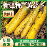 新疆直发黄萝卜特产抓饭炖汤食材水果红胡萝卜农家自种新鲜蔬菜 5斤黄萝卜【自然生长无催熟】