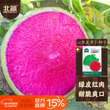 北蔬 心里美红心萝卜种子苗冬春水果罗卜蔬菜籽 心里美萝卜种子500粒