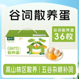 仙寓农夫 散养土鸡蛋 谷饲散养36枚 净重3.45斤 柴鸡蛋礼盒 源头直发 包邮