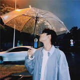 八海鸟透明雨伞长柄手动女生高颜值韩系超轻家用便携学生雨伞上学专用