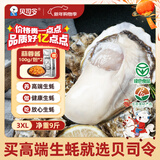 贝司令 鲜活乳山生态生蚝3XL 净重9斤 23-32只 生鲜源头直发年货送礼