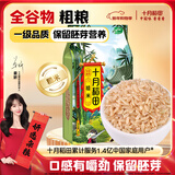 十月稻田 糙米 2斤 低脂粗粮 杂粮米新米 保留胚芽 粥米 全谷物