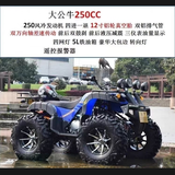 赛普迪沙滩车四轮越野摩托车全地形燃油山地成人四驱/后驱摩托车双人ATV 大公牛250CC/12寸 轴传动套餐七