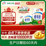 伊利【新鲜日期】纯牛奶250ml*24盒 优质乳蛋白 严选牧场 年货礼盒装