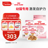 皇家猫粮 幼猫猫粮 干湿搭配 K36 4.5kg+啫喱肉冻KJP 85G*3