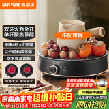 苏泊尔（SUPOR）迷你电陶炉 煮茶器煮茶炉煮茶壶 养生围炉煮茶泡茶办公家用不挑器具SW-DTL05