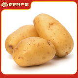 仙果春天土豆新鲜2025新土豆农家马铃薯黄皮黄心包邮 土豆4斤