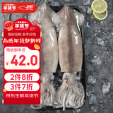 初鲜鲜冻大鱿鱼2-4条净重1.2-1.3斤 铁板鱿鱼火锅烧烤食材 年货送礼