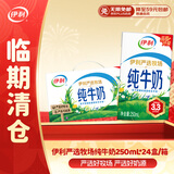 伊利纯牛奶整箱 250ml*24盒 优质乳蛋白 礼盒装 10月产