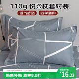 艾薇 枕头套磨毛枕套一对儿童枕套卡通学生单人枕套 格调时代 48*74cm