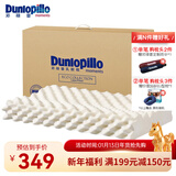 邓禄普（Dunlopillo） 【斯里兰卡进口】天然乳胶枕芯 波浪曲线颈椎枕透气舒睡乳胶枕头 ECO按摩低波浪枕