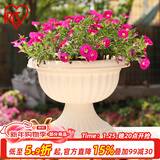 爱丽思（IRIS）浮雕杯型创意大花盆户外庭院家用树脂塑料欧式绣球高脚花盆 30E【浅米色】约4.7L