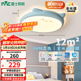 雷士（NVC）LED照明吸顶灯儿童氛围卧室灯创意可爱卡通简约-龙猫蓝色