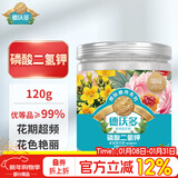 德沃多磷酸二氢钾花肥料通用120g园艺花卉盆栽养花肥种菜磷钾肥水溶肥