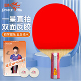 双鱼（DOUBLE FISH）直拍入门级小学生初学者娱乐专用双面反胶乒乓球拍【1A+E 附2球】