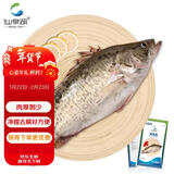 仙泉湖三去桂花鱼400g/条净膛冷冻鳜鱼无细刺年货海鲜水产食材